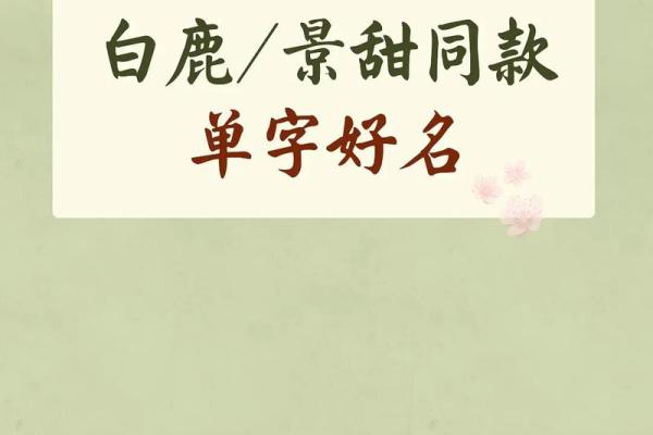 单字名字大全：简单却不平凡的选择