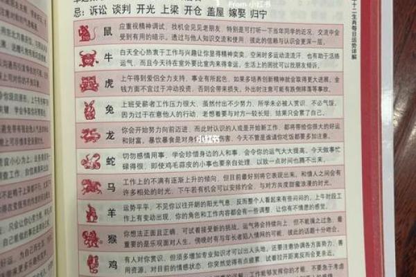 肖龙人每月运程解析 全年运势逐月揭秘