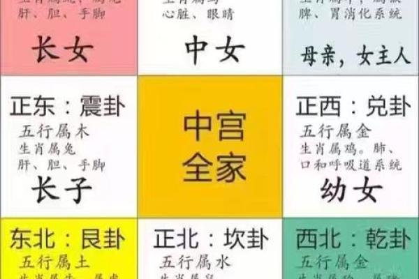 家居风水预测：如何通过布局改善运势