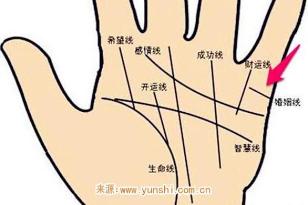 龙年运程解析：事业、财运与感情全方位解读