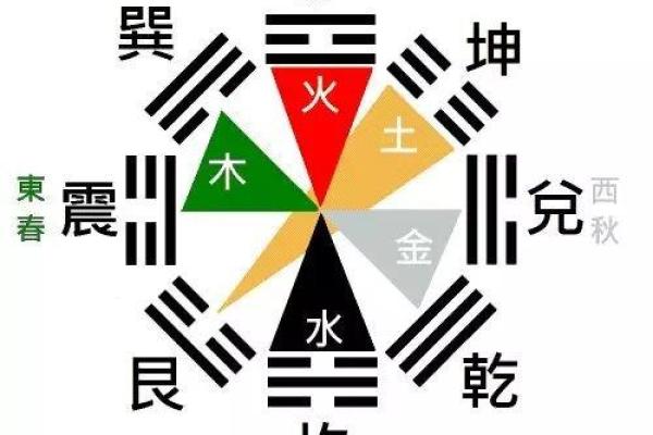 姝字五行属性解析与命理影响分析