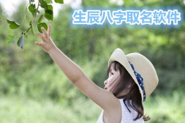 生辰八字打分的深度解析与应用方法