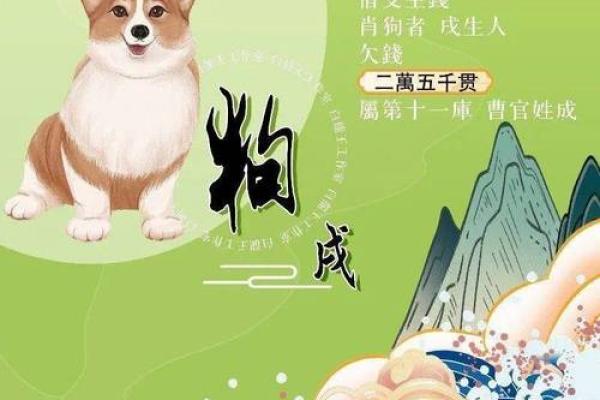 属狗人的运势解析与全年运程指导