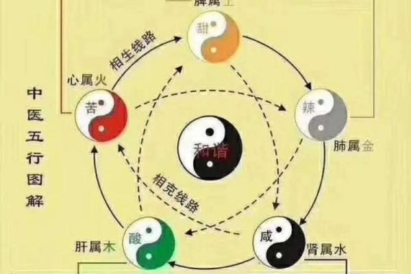 兔年运势全解析：各方面运程详解与应对策略
