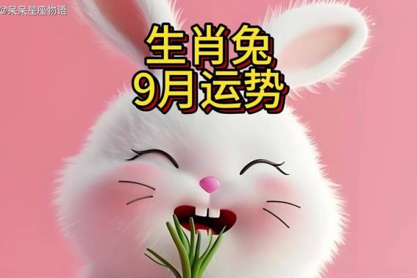 兔年运势全解析：各方面运程详解与应对策略