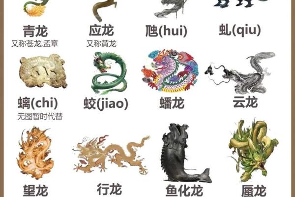 龙年运势起伏与关键运程详解