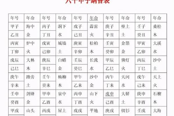 鼠年运势全解析：财富、事业与感情运程指南