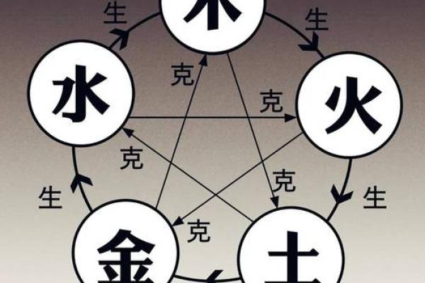 属马人的五行命理解析及其运势影响