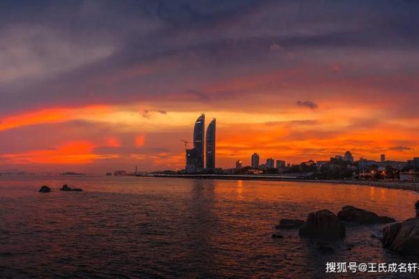 龙女运势解析：事业、财富与感情全面剖析