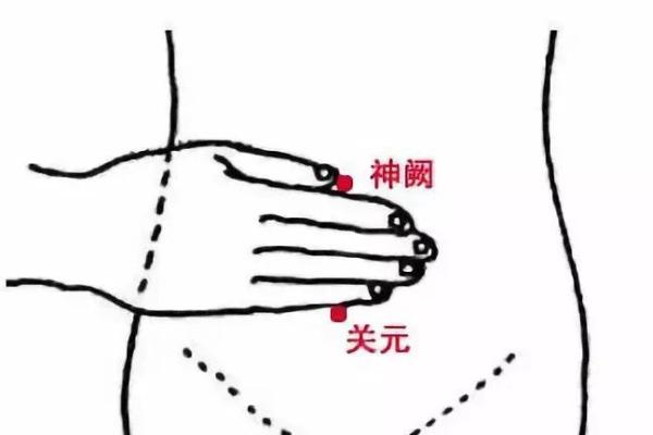 如何通过保护腰部来延续男人的生命力