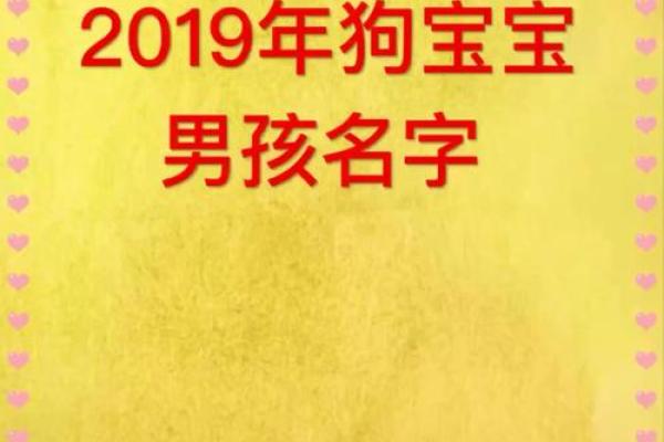猪宝宝如何起名，五行八字与性格结合的技巧