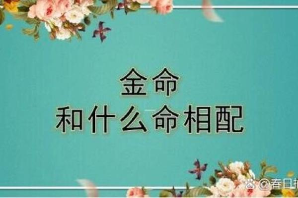 忌金命的含义及其对命运的影响解析