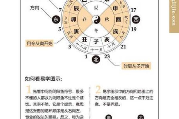日月坐命的深层解析与命理影响