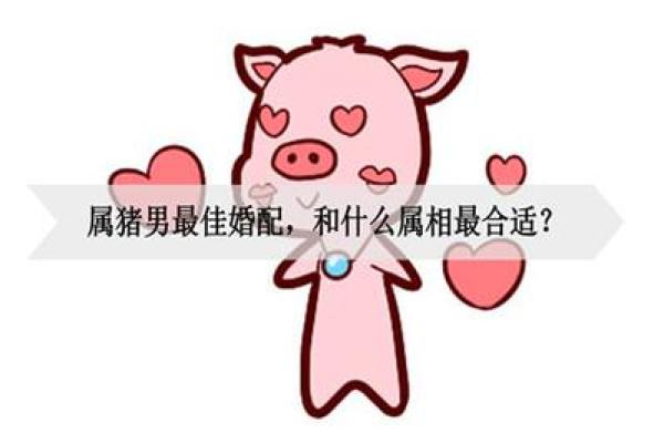 属虎女与属猪男情感契合度大揭秘