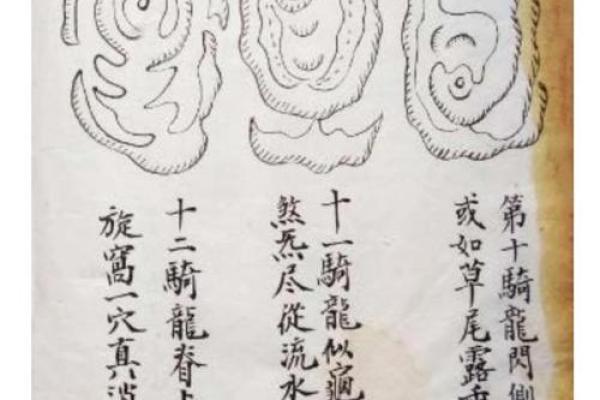 阳宅风水学：如何通过布局提升居住运势与生活质量