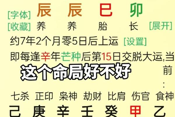 食神命的定义与特征解析