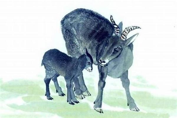 属羊人运势预测：事业、健康、感情三大领域分析