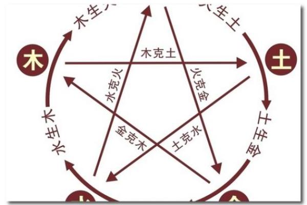 土命与水命的五行解析及其对命运的影响