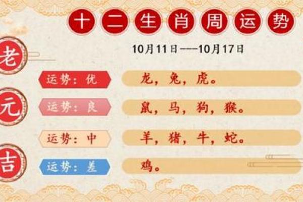 属猪人运势全面解析：财富、健康与感情运程详解