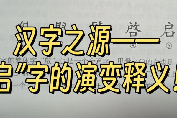 启字五行属性解析及其在命理中的应用