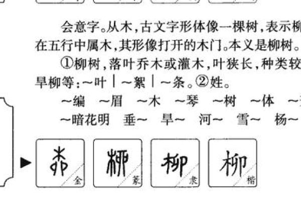 岚字如何赋予名字独特的气质与寓意