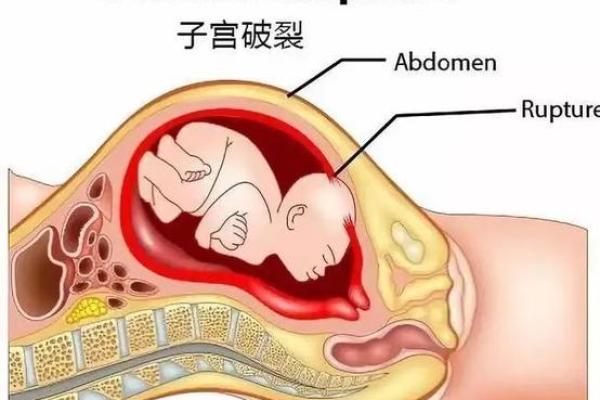 探讨胎命身在命理学中的定义与解读