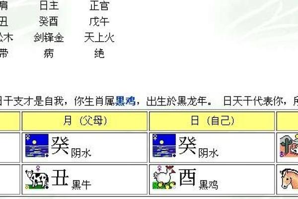 命水的含义与作用解析
