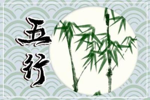 属木宝宝命名指南：五行平衡与个性化建议
