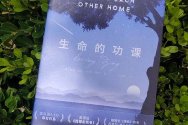命运与生命的交织：探讨人类命运的真相