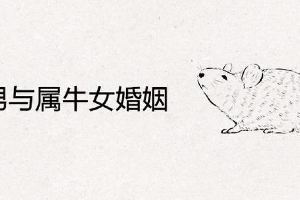 属牛男与属鼠女的爱情是否长久