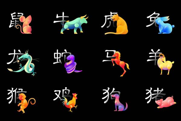 生肖运势解析：各月运势全面解读