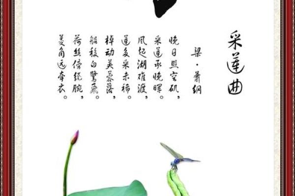 莲字的命名艺术：从植物到名字的文化转化