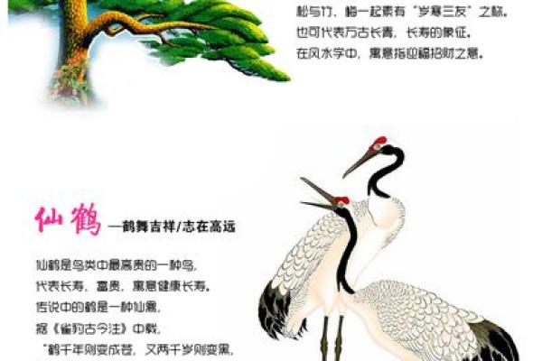 巧用家居风水套装，提升家庭和谐与财运