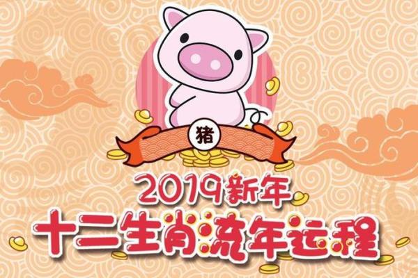 猪年运势全解 财运、健康、事业全面分析