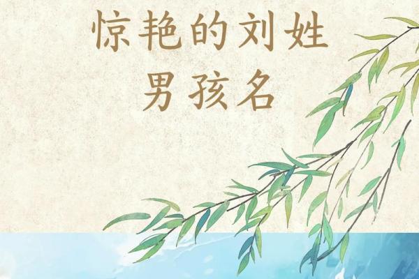适合男孩的刘姓名字，助力人生起航