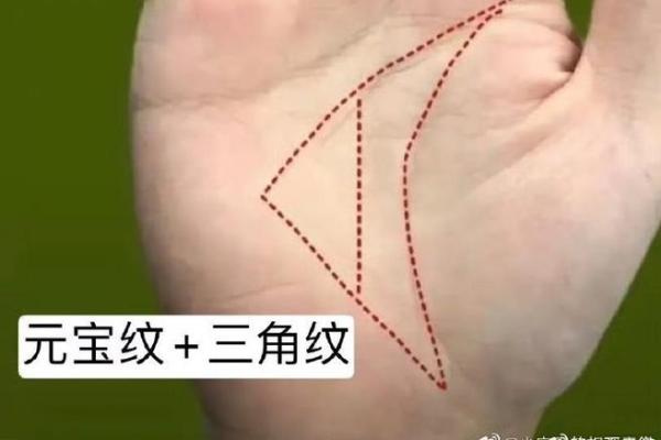 手相揭秘：哪些掌纹象征财富与荣华