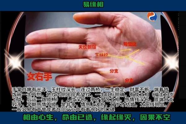手相揭秘：哪些掌纹象征财富与荣华