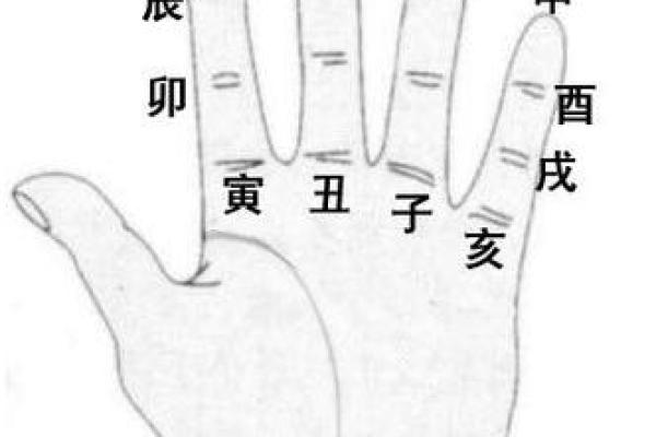 如何通过午命理解个人命运走向