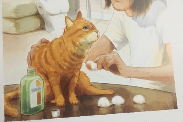 主人公名字如何改变了周围的世界