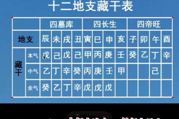 解析女孩的八字命理，了解其人生道路