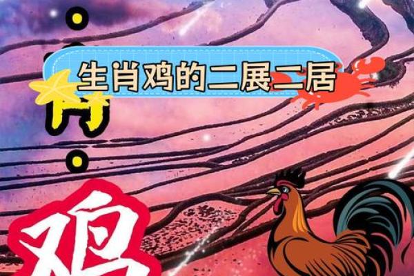 属鸡人全年运势分析及注意事项