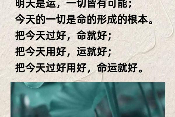是何命？揭秘这一年出生者的命运轨迹