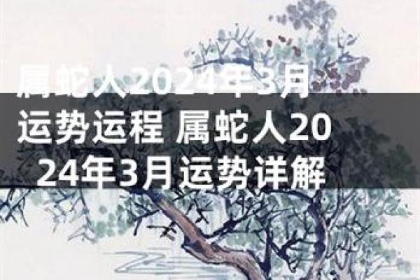 属蛇人每月运程详解：解析全年的运势起伏与转折