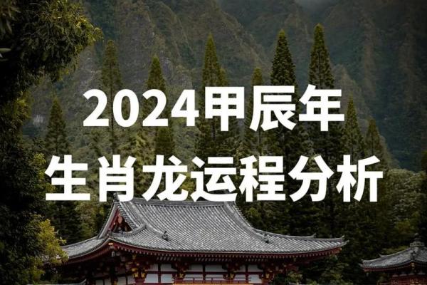 生肖龙运势全面解析与年度运程预测