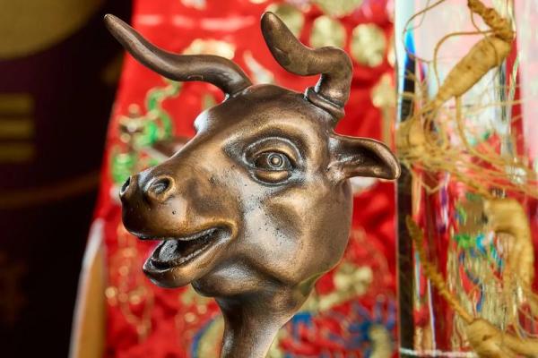 生肖鸡运势解析与全年运程指南