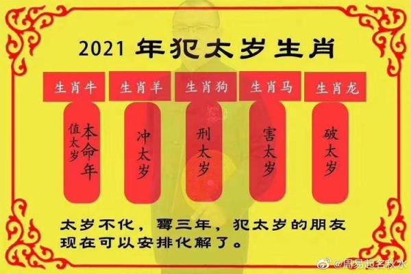 属马人每月运势解析与生活建议