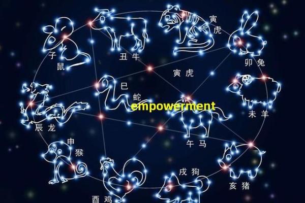 阳命的定义与特点解析