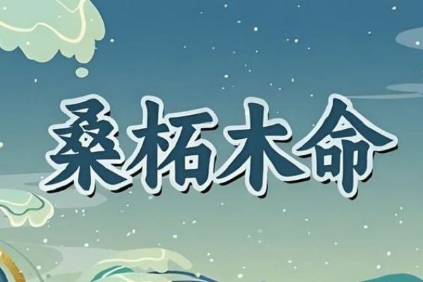 桑拓木命的起源与特点解析