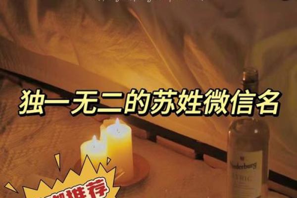 从苏姓文化出发，挑选最合适的名字