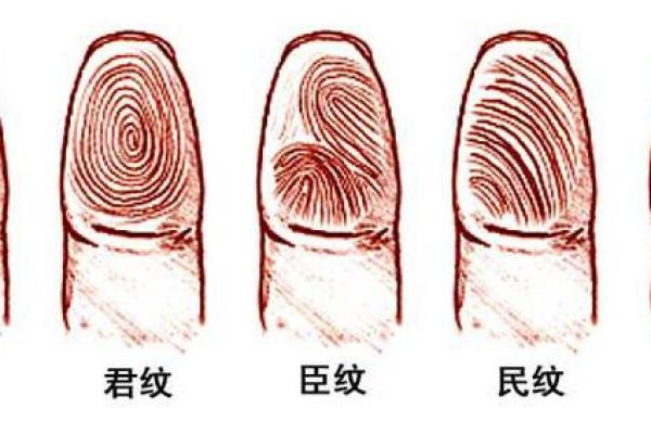 揭秘富贵命的指纹特征与命运关系
